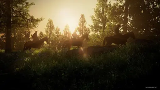 The Last of Us Part 1 - Image 9