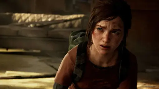 The Last of Us Part 1 - Image 4